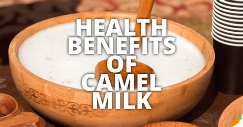casino increasing awareness|Potential Application of Camel Milk as a  .